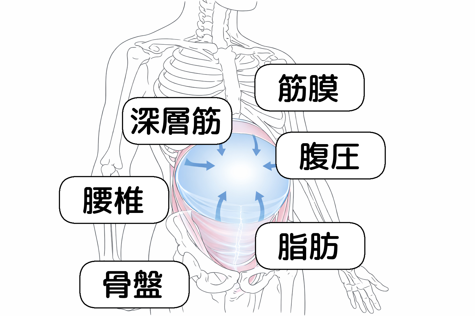 腰椎椎間板ヘルニアからくる腰の重たさを整体で緩和した千葉県 柏市在住の患者様