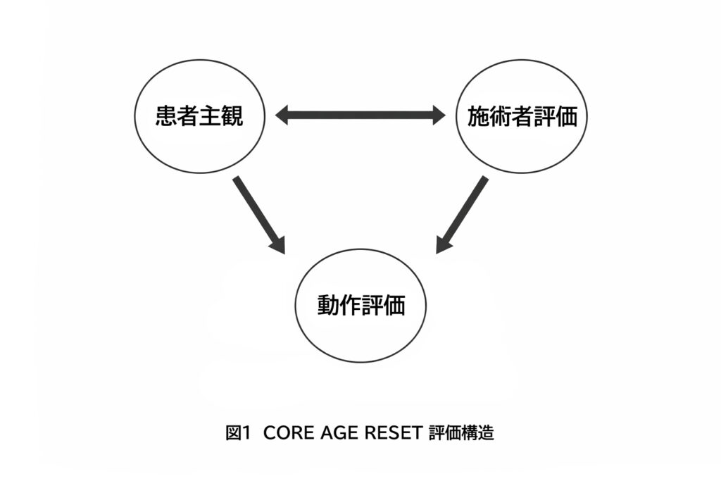 図1  CORE AGE RESET評価構造