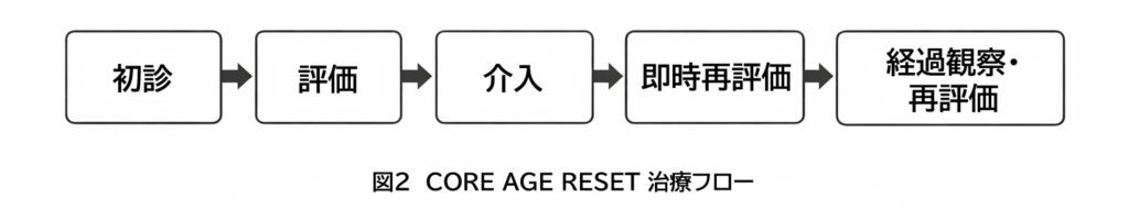 図2  CORE AGE RESET治療フロー