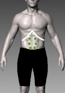 腹直筋の筋膜をほぐすポイントの図解