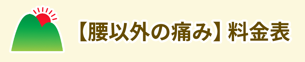 【腰以外の痛み】の料金表