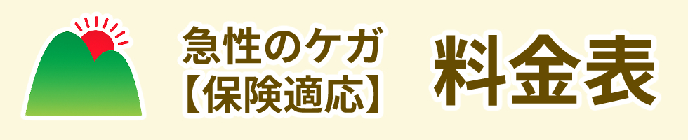 急性のケガ【保険適応】料金表